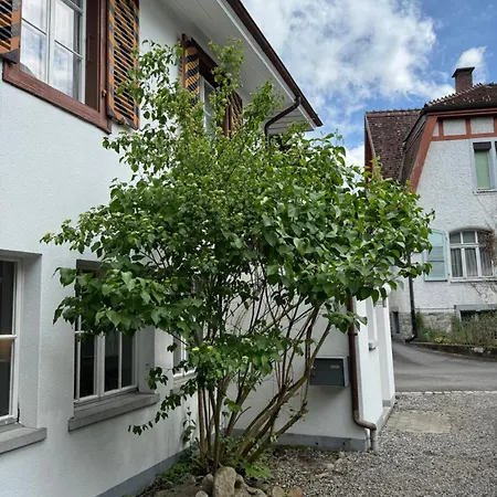 Garden House إنترلاكن