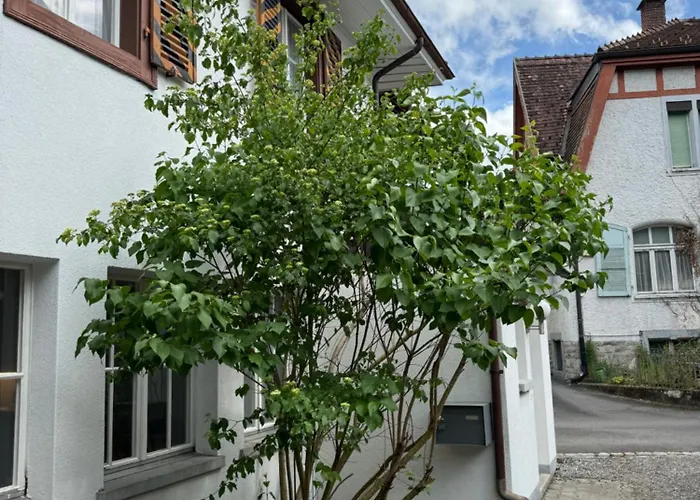 Garden House 因特拉肯