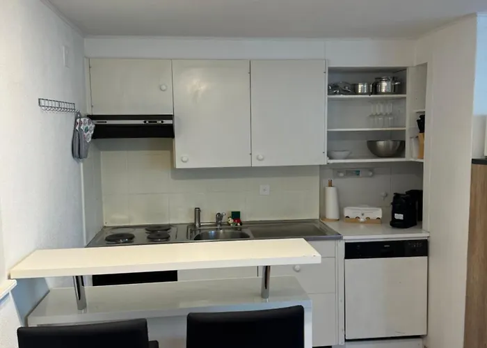 Garden House 度假居 因特拉肯